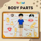 टॉडफोड वुडन शरीर के अंग पहचानने वाली पज़ल नॉब्स के साथ