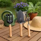 Immutable Garden Tools for Home Gardening Set, Gardening Trowel, Garden Fork, Wooden Handle, Set of 3