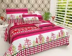 Polycotton Double Bedsheet with 2 Pillow Cover 