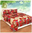 Polycotton Printed Double Bedsheet with Two Pillow Covers 