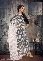 Embroidered Jaipuri Net 