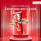 पतंजलि दंत कांति फ्रेश एक्टिव जेल टूथपेस्ट 300 g