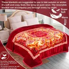 Alaqsa Printed Mink Double Blanket 2kg 90x90in Red Floral