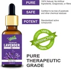 Organics Best Lavender Essential Oil, 100% Natural & Pure, for Hair, Skin, Face 