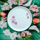 Fair Food Dinner Plate For Regular Use- 1 Pcs