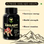 Fij Ayurveda Shilajit Capsuls For Strong Immune System And Maintain Testosterone Levels In The Body 60 Pcs