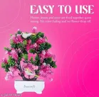 Artificial Bonsai Plant with Pot & Light 