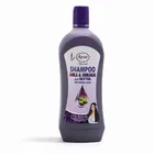 Ayur Amla Shikakai with Reetha Shampoo 1 L + Free Rose Water