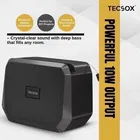 TecSox Blast Pro 10W Bluetooth Speaker