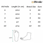 Birde Trendy Casual Shoes For Men 