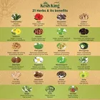 केश किंग आयुर्वेदिक स्कैल्प एंड हेयर ऑयल 100 ml