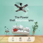 Longway Creta P1 600 mm 4 Blade Ceiling Fan  