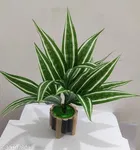 Plastic Artificial Flower With Pot,Multicolour