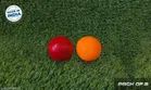 PVC Cricket Balls (Red & Orange, Pack of 2)