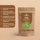 Vedaartha Henna Powder, Pack of 1 