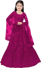 Net Embroidered Semi Stitched Lehenga for Girls 