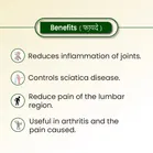 JOINTO KING CAP. 60caps, Beneficial in all types of Joints Pain., 