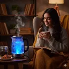 SKYLINE Electric Glass Kettle 