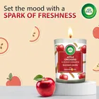 Air wick Apple Orchard & Ceylon Cinnamon Aroma Fragrance 185 g