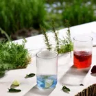 Set of 6 Martin Plastic Glass