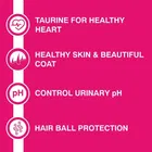 Purepet Tuna & Salmon Adult Cat Food, 1 kg