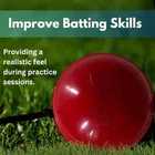 Red PVC Practice Hanging Cricket Ball Standard Size 
