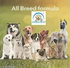 Rawhide Bone Chew for Pet 