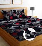 Sarangi Black Floral Printed Fitted Bedsheet 190X183X20Cm