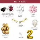 2nd Happy Birthday Balloon Decoration Kit, Multicolor, Pack Of 63