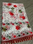 Embroidered Punjabi Net 