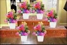 Plastic Artificial Flowers, Multioclor, Pack of 6