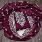 Embroidered Punjabi Suits for Women 