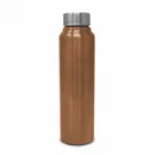 Raintech Steel Water Bottle [1000 ml, Brown]