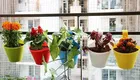 Plastic Hanging Planters 