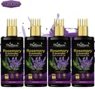 Phillauri Rosemary Hair Growth Oil 