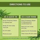 Rosemary Water Hair Growth Spray 