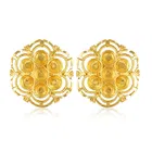 Alloy Gold Plated Earrings for Women 