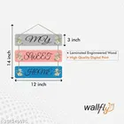 Decorative Wall Hanging 