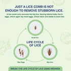 Mediker Anti Lice Combo, Anti lice Shampoo 50ml pack of 2 + Anti lice Oil + Lice Comb, 150 ml