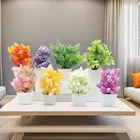 Green Gallery Mini plants Pack of 8