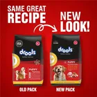 Drools Chicken and Egg Puppy Dog Food, 3 kg with Free 1.2 kg