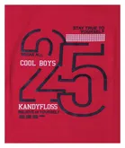 Half Sleeves Printed T-shirt for Boys 