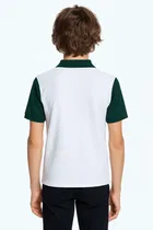 Polo Neck Colorblocked T-Shirt for Men, Olive 