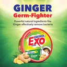 Exo राउंड डिश्वाश बार 500 g + 