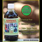 Phillauri Herbal Bhringraj Hair Oil 