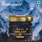 Nutrocopia Ayurvedic Shilajit 