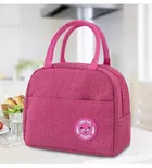 Insulated Tiffin & Lunch Bag 