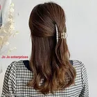 Plastic Hair Clutcher for Women & Girls 