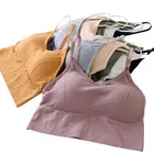 Cotton Blend Lightly Padded Wire Free Sports Bras for Women 