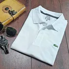 Polo Neck Solid T-Shirt for Men 